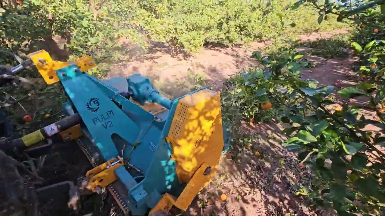 Trituradora Bonanza modelo Pulpi