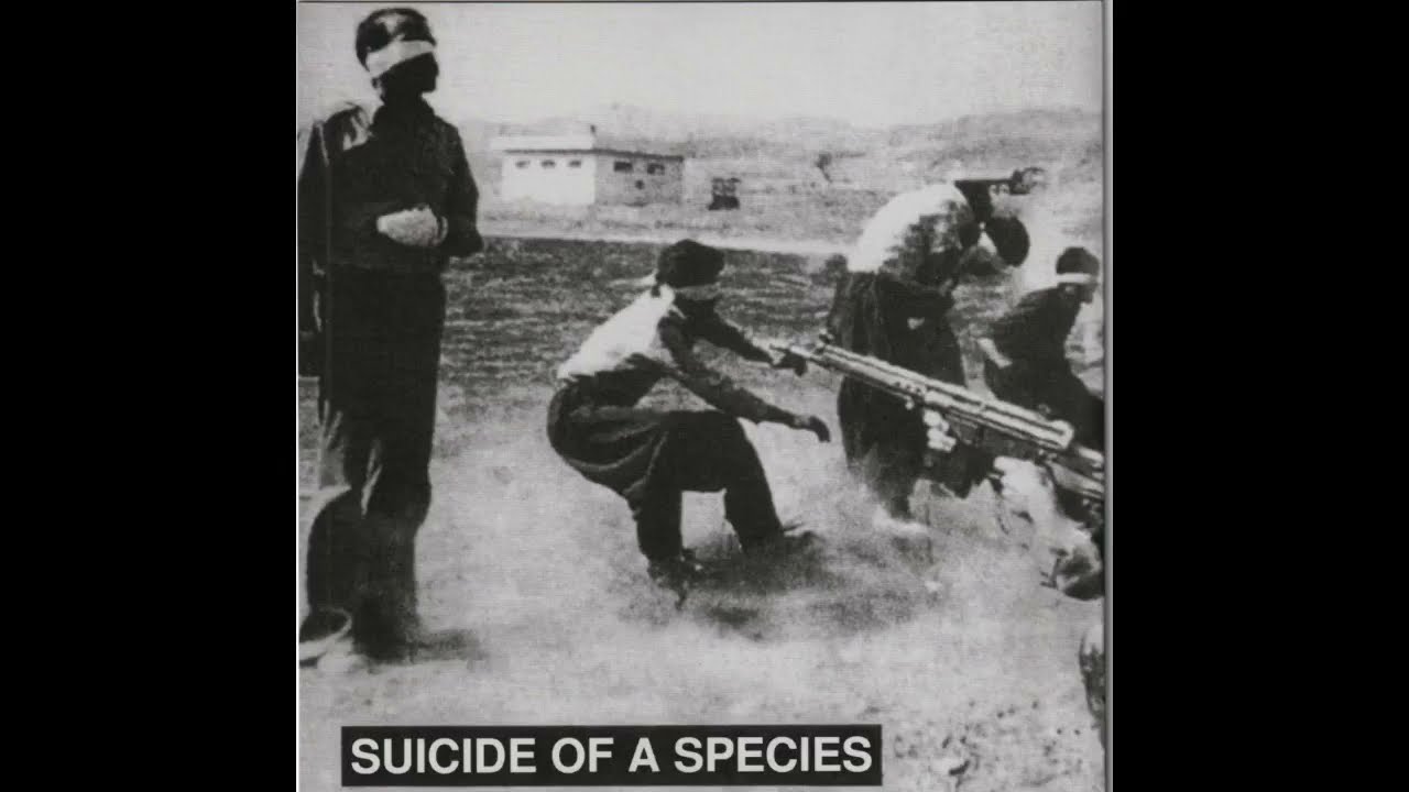 SUICIDE OF A SPECIES - 7INCH RELEASE VULGAR RECORDS 2023