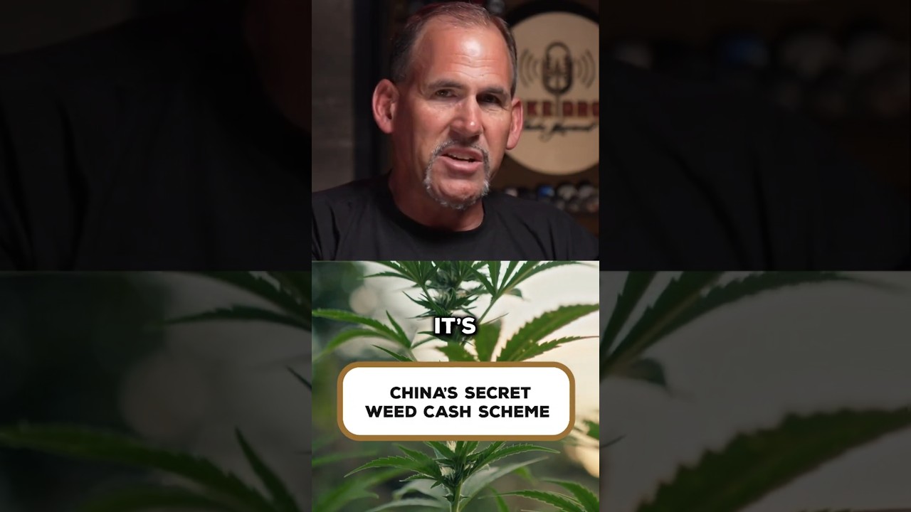 China&rsquo;s Secret Plan in the American Weed Trade