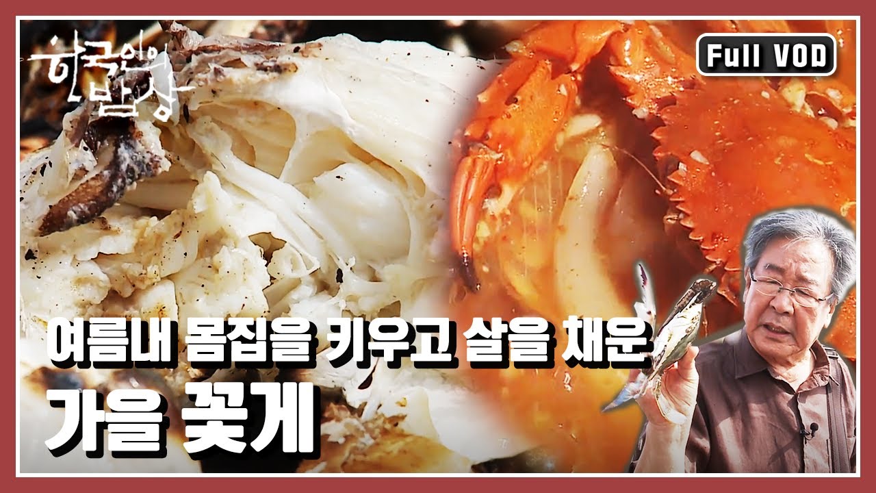 [한국인의밥상★풀버전] 가을의 문턱. 바다의 기운을 옹골지게 품고 돌아온 반가운 손님 “수컷의 진격, 가을 꽃게 밥상” (KBS 20140911 방송)