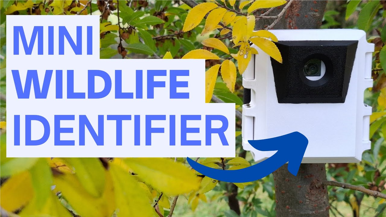 Raspberry Pi Zero AI Wildlife Detector!