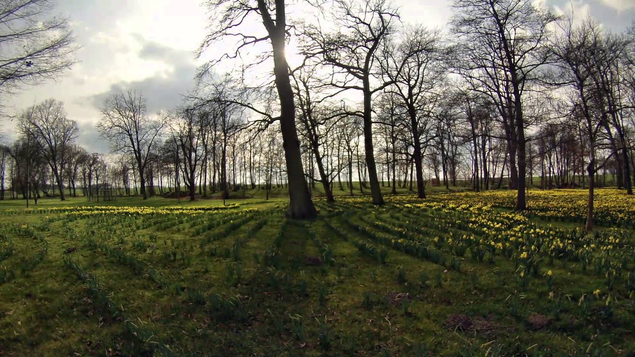 Rosengarten bei Garz auf Rügen - en0146