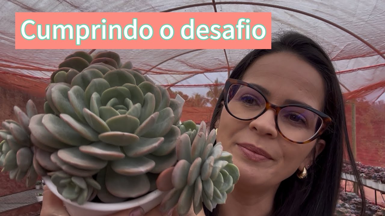 Cumprindo o desafio 