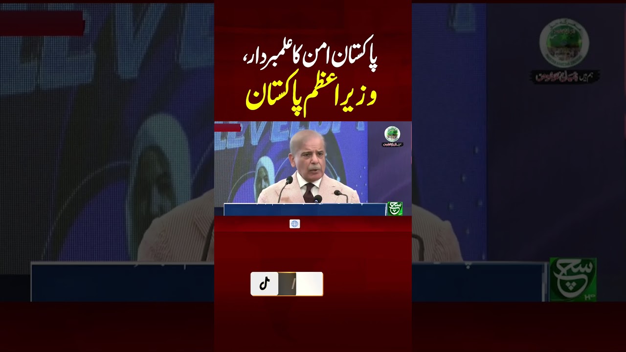 PM Pakistan Highlights Historical Efforts for Peace in the Region #shorts #shortvideo #reels #clips