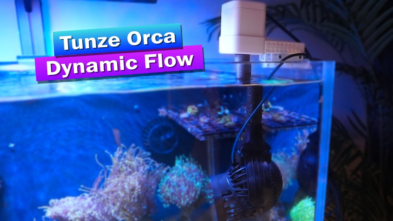 Tunze Orca - Динамический поток для вашего рифового аквариума