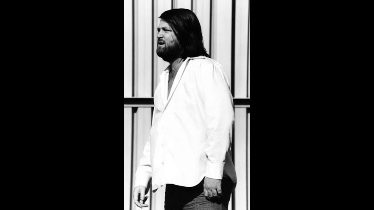 The Beach Boys - In the Back of My Mind (Custom Brian Vocal Mix)