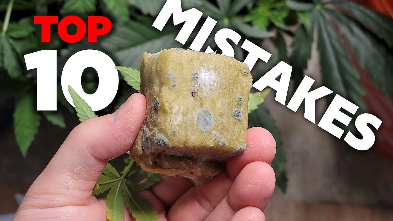 TOP 10 MISTAKES Cannabis GROWERS MAKE - How to Fix Them