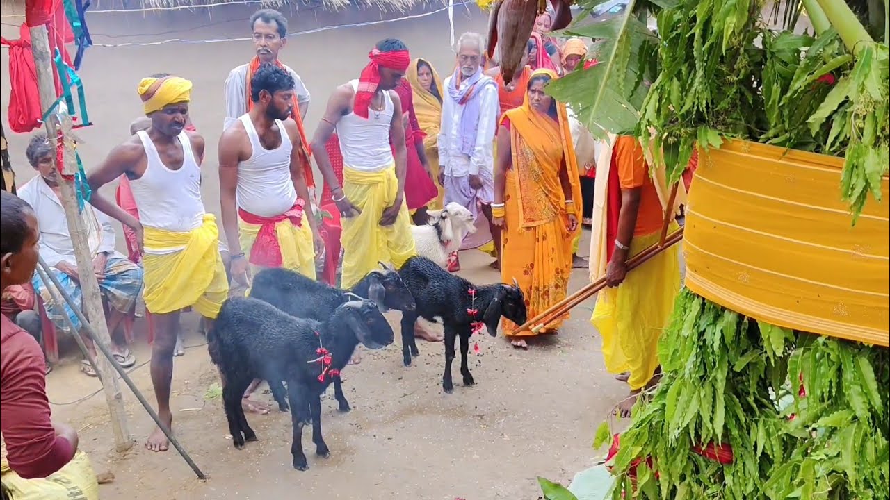 देखिए पूजा में क्या दिया जाता है | baba keval maharaj ki puja | khasi bali dene ki vidhi bataiye