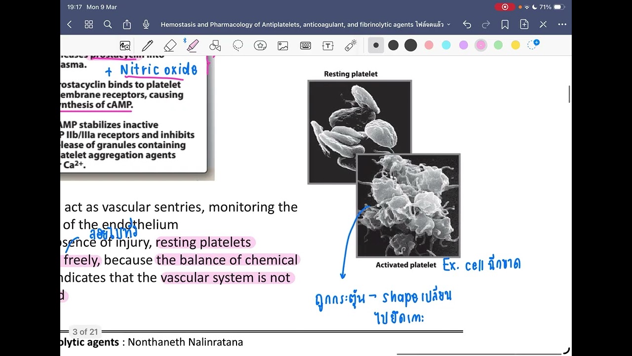 สรุป Hemostasis and Pharmacology of Antiplatelets, anticoagulant, and fibrinolytic agents 