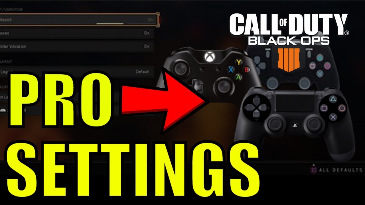 Best Black Ops 4 Controller Settings | 95% of PRO COD Player Do This!