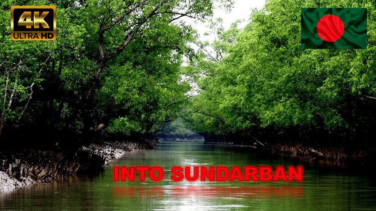 INTO SUNDARBAN | EPISODE 1 | PASHUR RIVER 4K