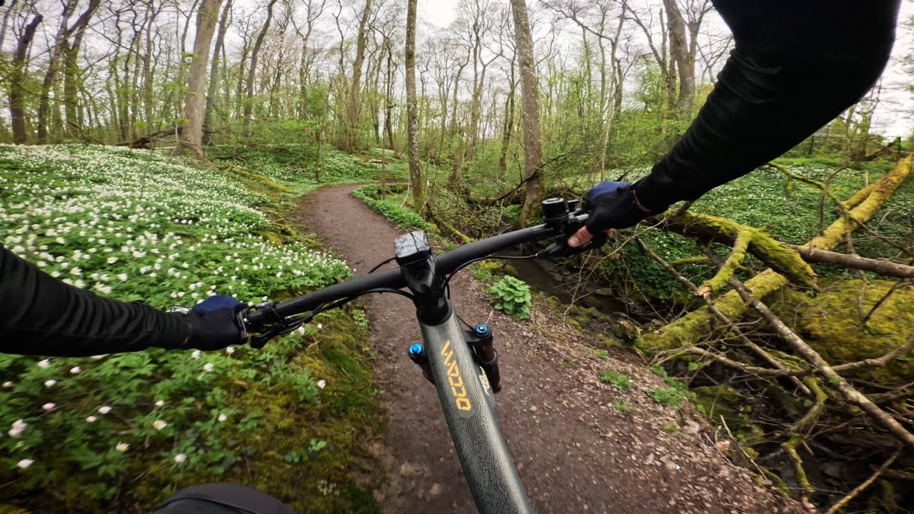 Trail MTB POV - From a 3h solo ride in Gothenburg Sweden