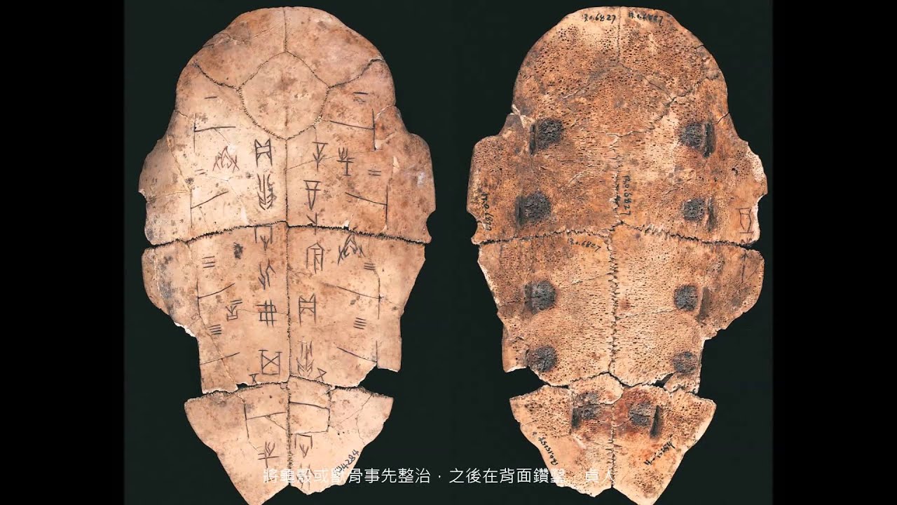 歷史文物陳列館一樓甲骨展區