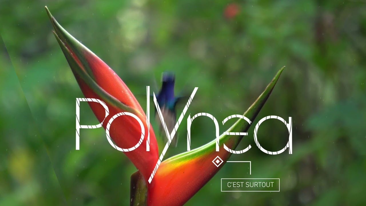 Cogedim : Programme immobilier neuf à Lattes (34) - POLYNEA