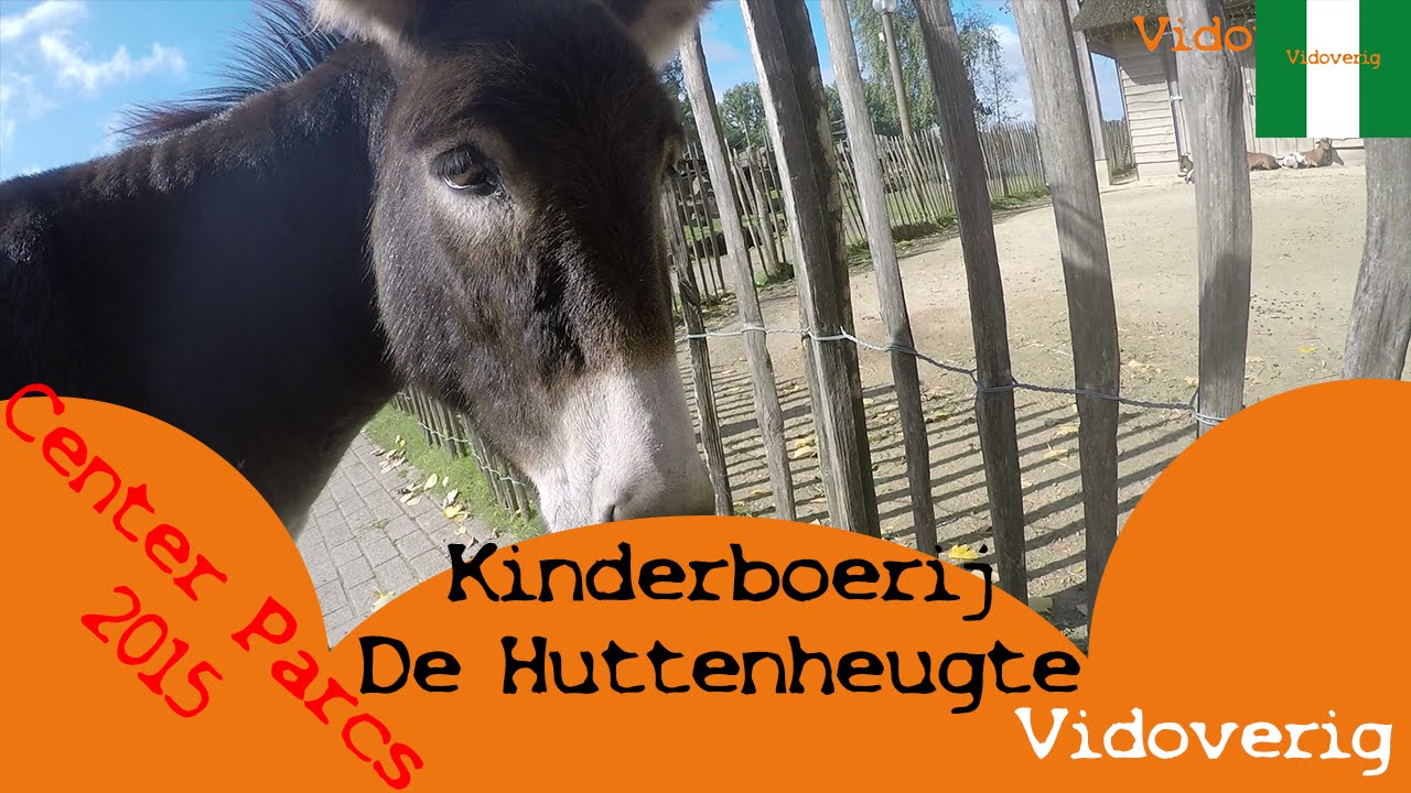 Center Parcs: De Huttenheugte kinderboerderij