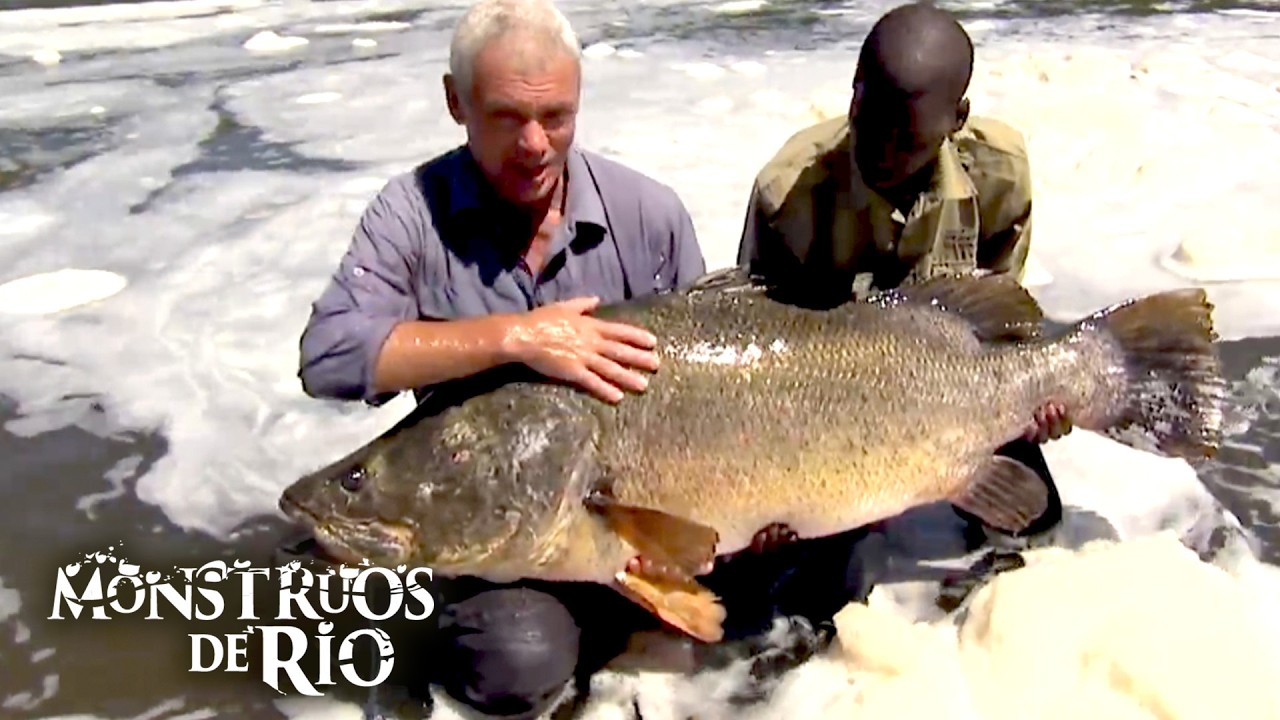 Perca del Nilo: El Pez Más Grande de África | T2 E05 | Monstruos de Río