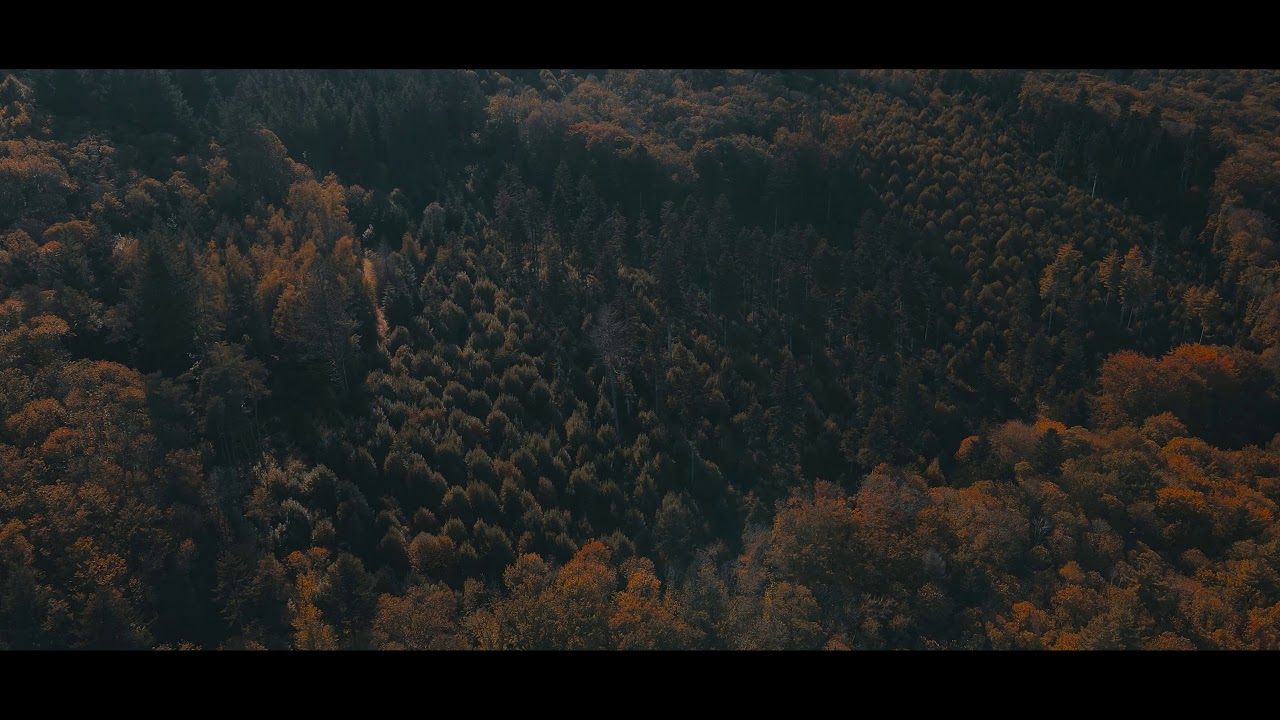 La Haute Vienne en automne vue du ciel.