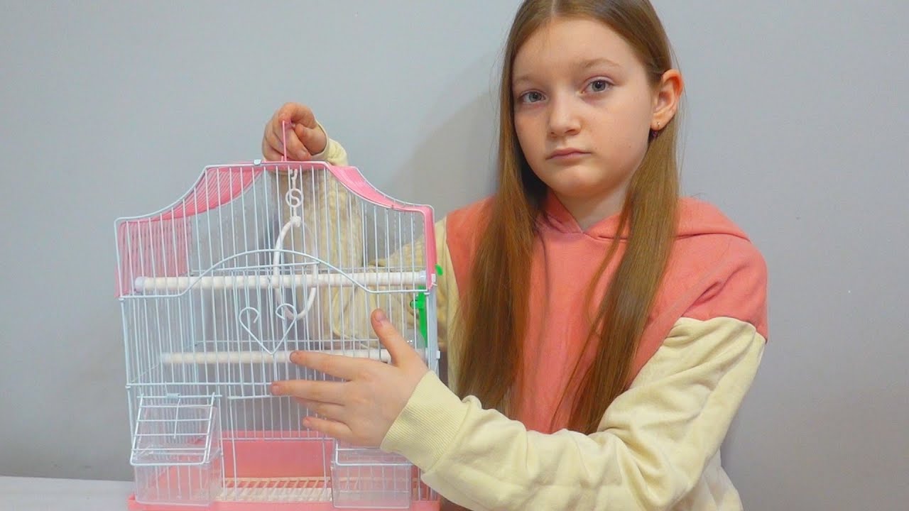 Am ramas fara Papagal vlog