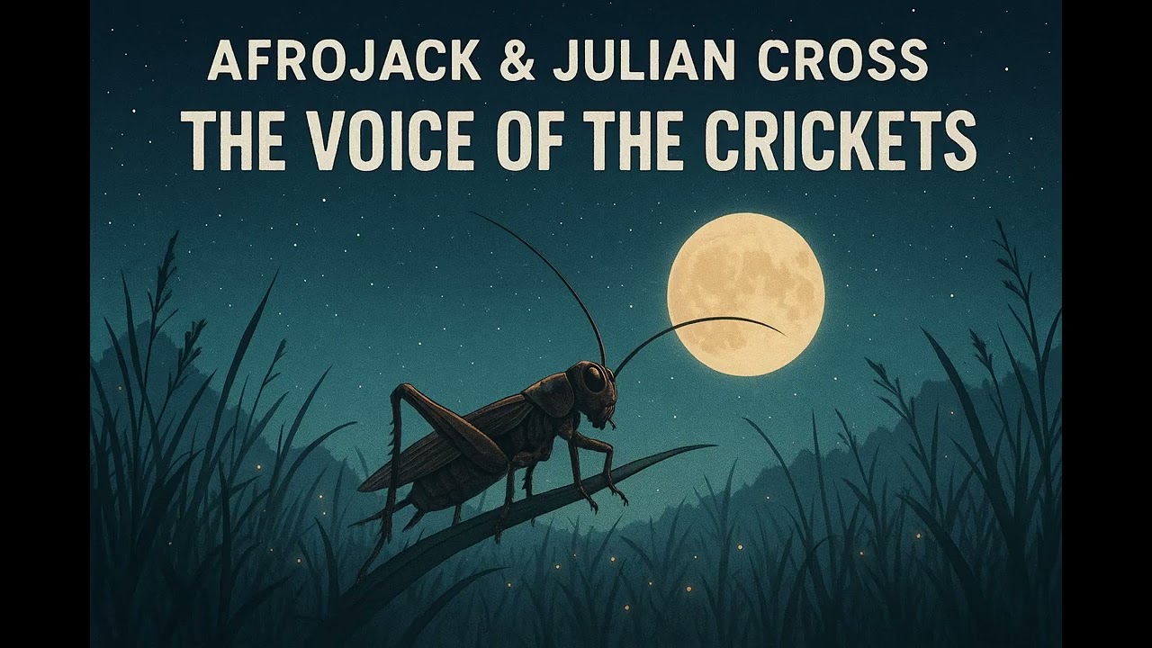 AFROJACK - THE VOICE OF THE CRICKETS (ft. JULIAN CROSS) [HQ VERSION]