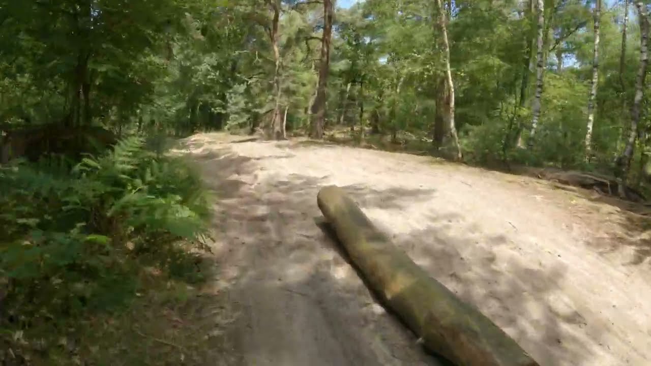 Vlierden De Bikkels mountain bike trail run