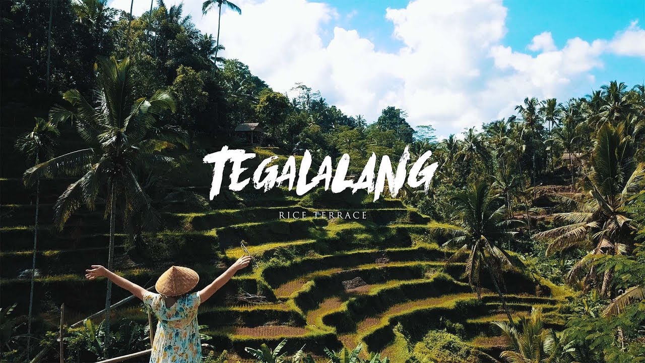 TEGALALANG from above - Is it so beautiful?