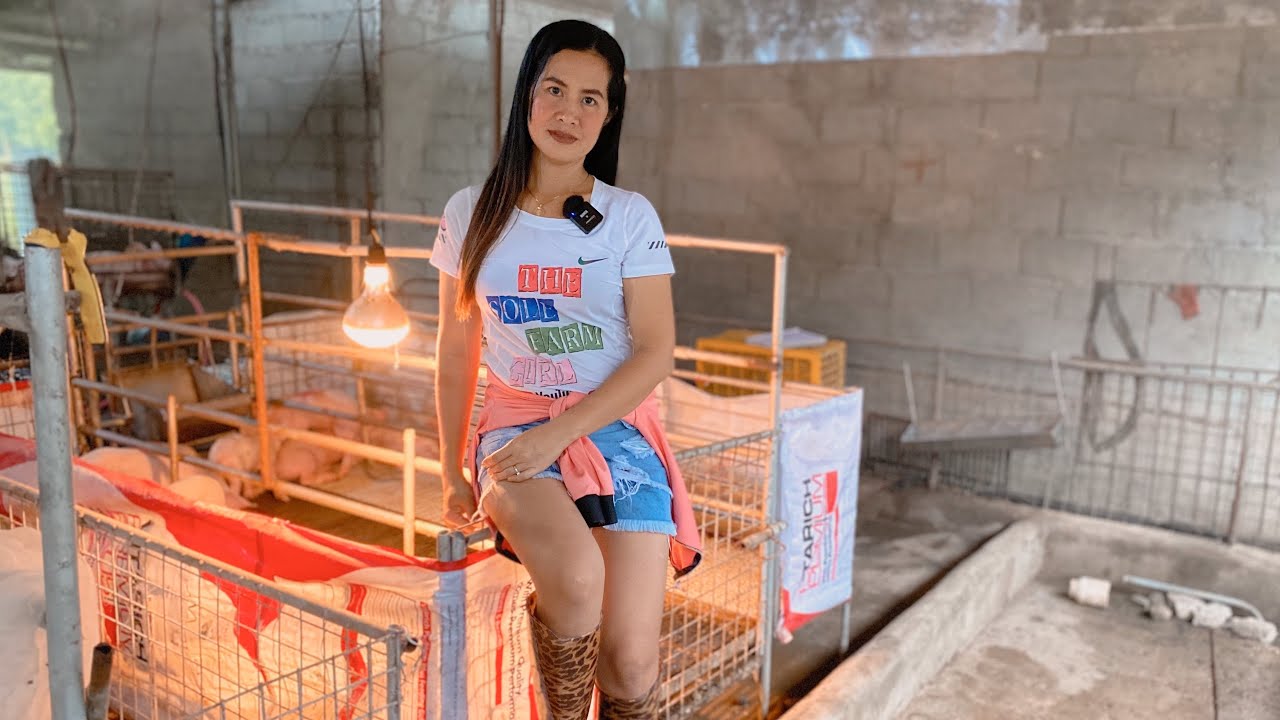 No HOLIDAY sa livestock business// Kailangan tutukan ang mga Alagang baboy sa FARM