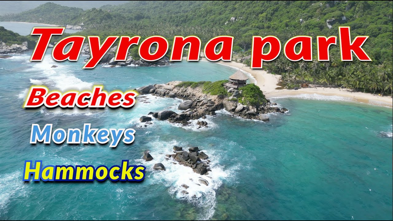 Tayrona park. Hiking, beaches, monkeys and hammocks. Colombia 18. #tayrona  #tayronaparque