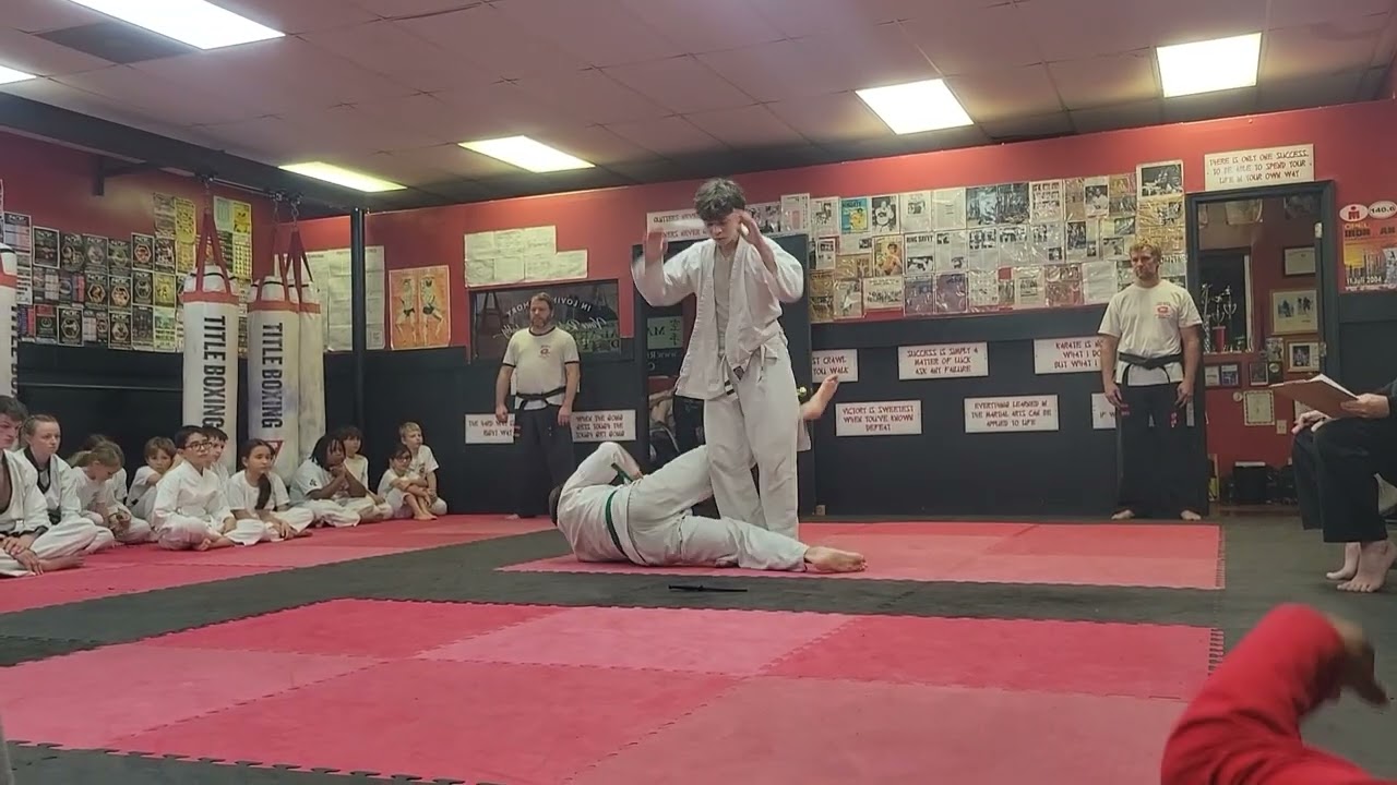 Brodin MMA Judo Test