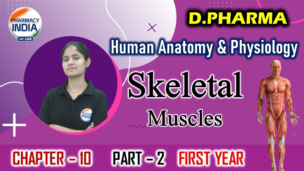 Skeletal System | HAP | Chapter - 10 | Part - 2 | First Year | D.Pharma