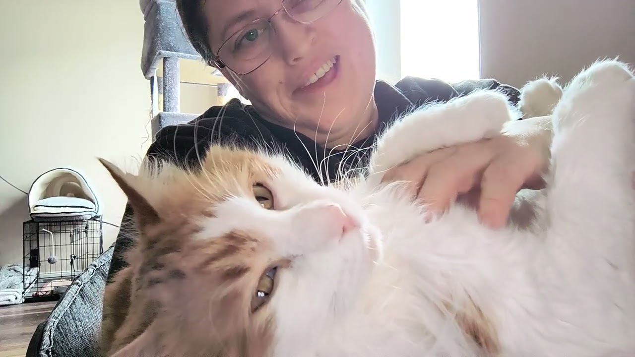 Bigboy = big baby 