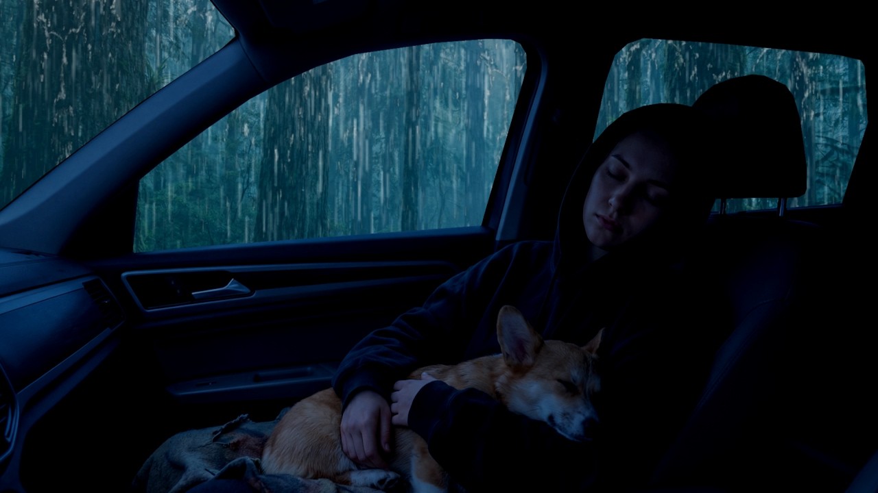 Cozy Nice Rain in Car | Rainy Night Drive Sounds 99% for overcome stress