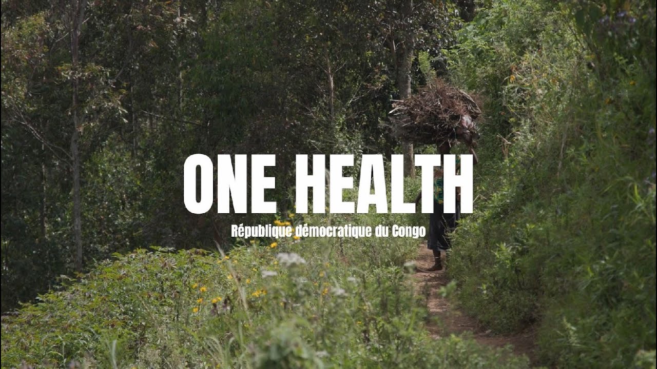 Projet One Health – une seule santé humaine, animale et environnementale (Sud-Kivu, RDC)