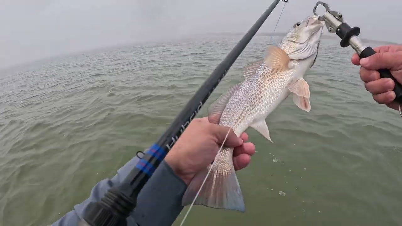 Foggy Morning Fishing Keller Bay, Grinch Stole Sunlight! @batesfishingco 