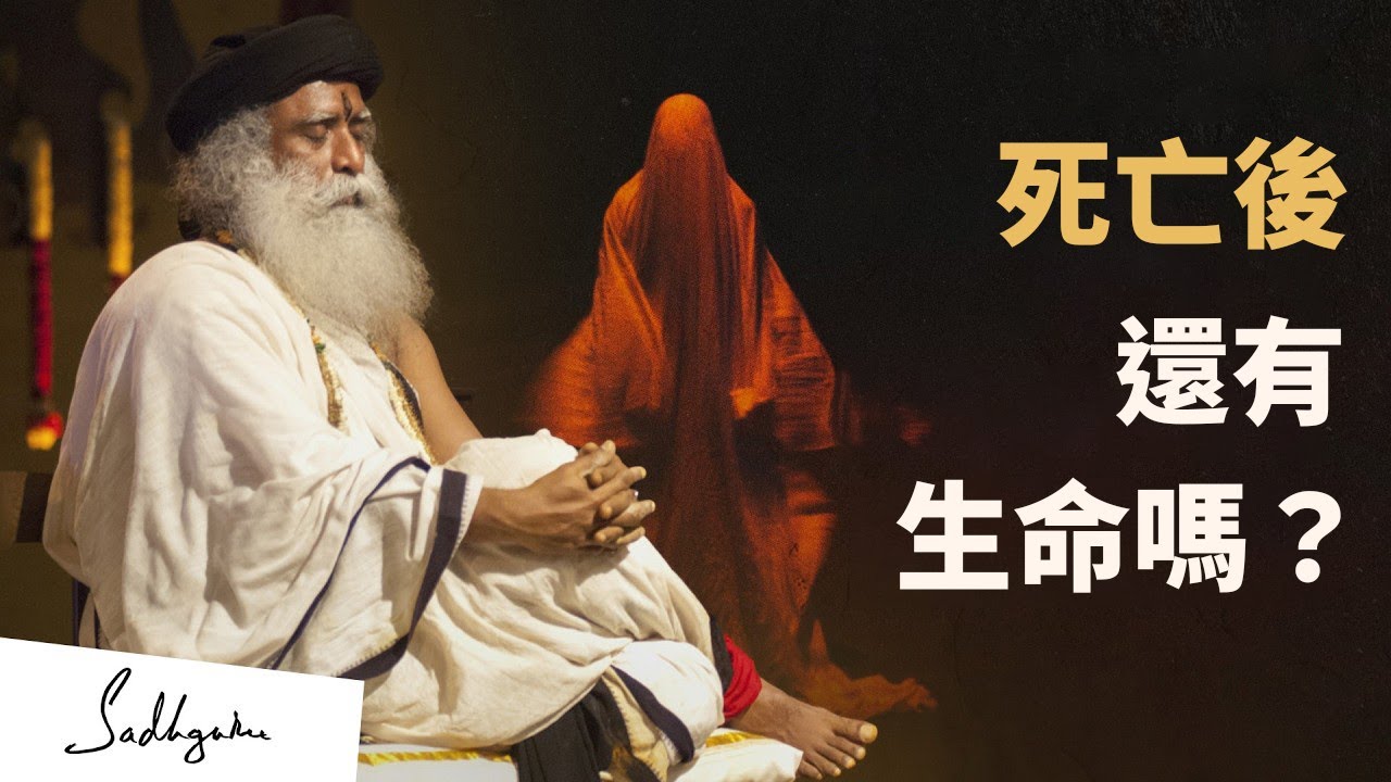 🪽死亡後，還有生命嗎？