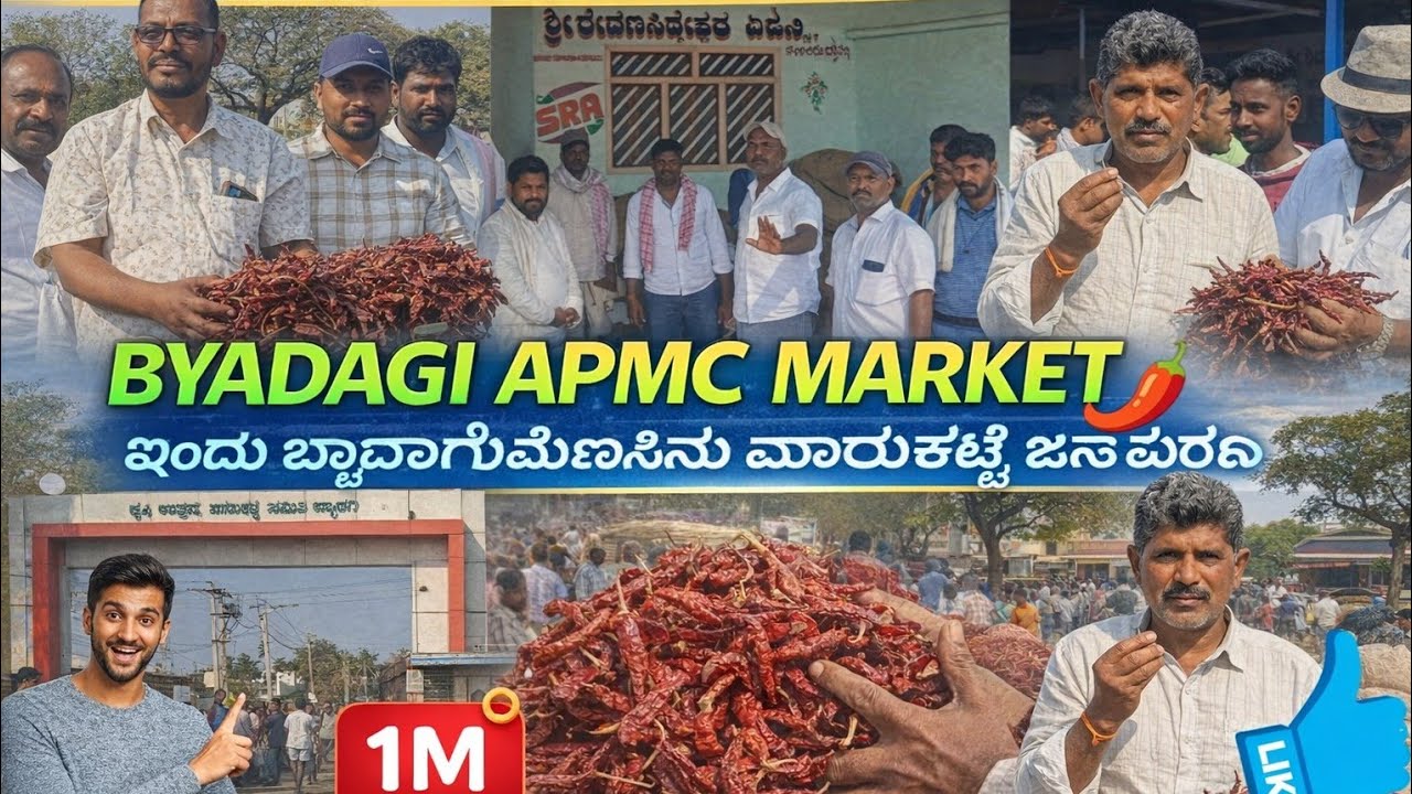 ಬ್ಯಾಡಗಿ ಮೆಣಸಿನಕಾಯಿ ಮಾರುಕಟ್ಟೆಯಲ್ಲಿ ರೈತರ ನೇರ ಮಾತು | Kisan Interview Kannada | Farmers Voice