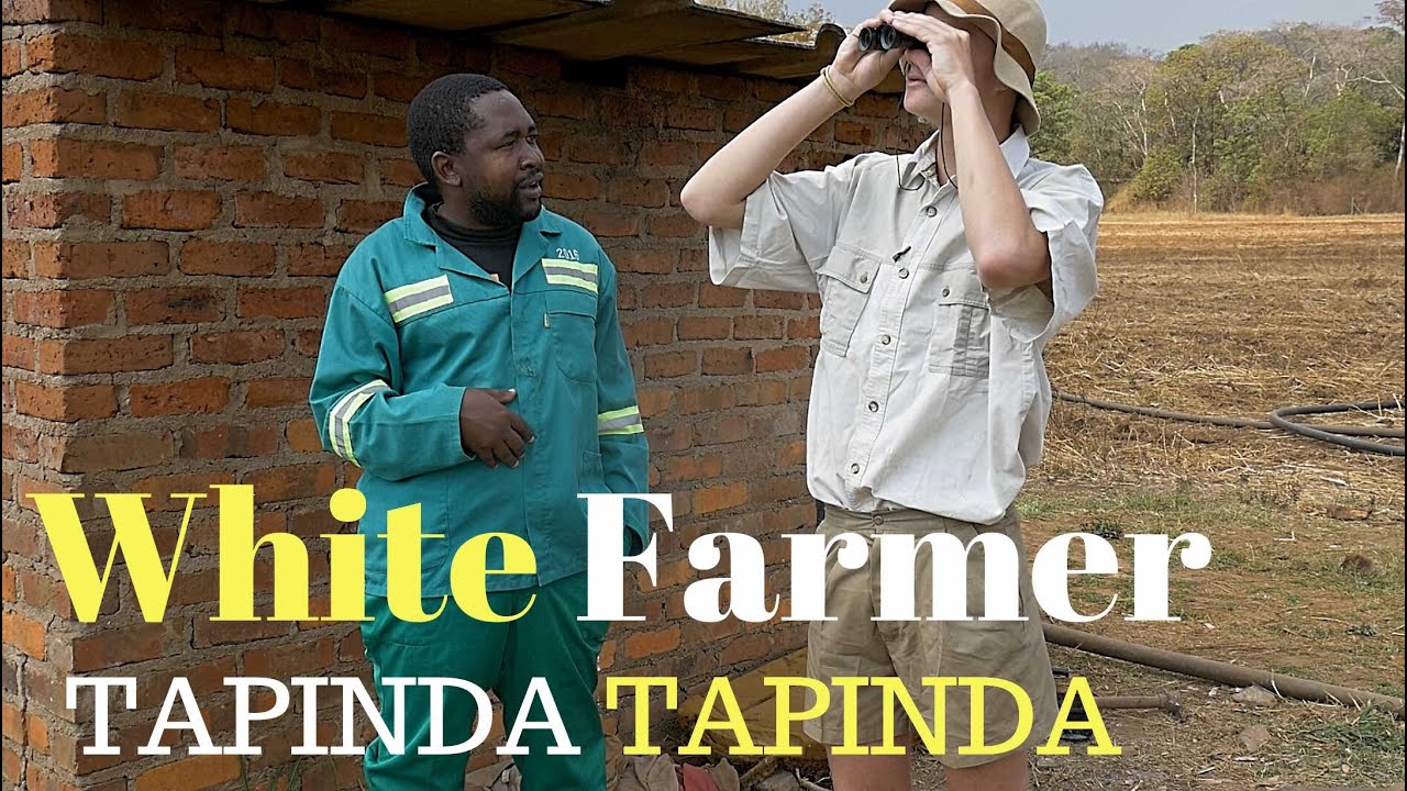 White Farmer Tapinda Tapinda