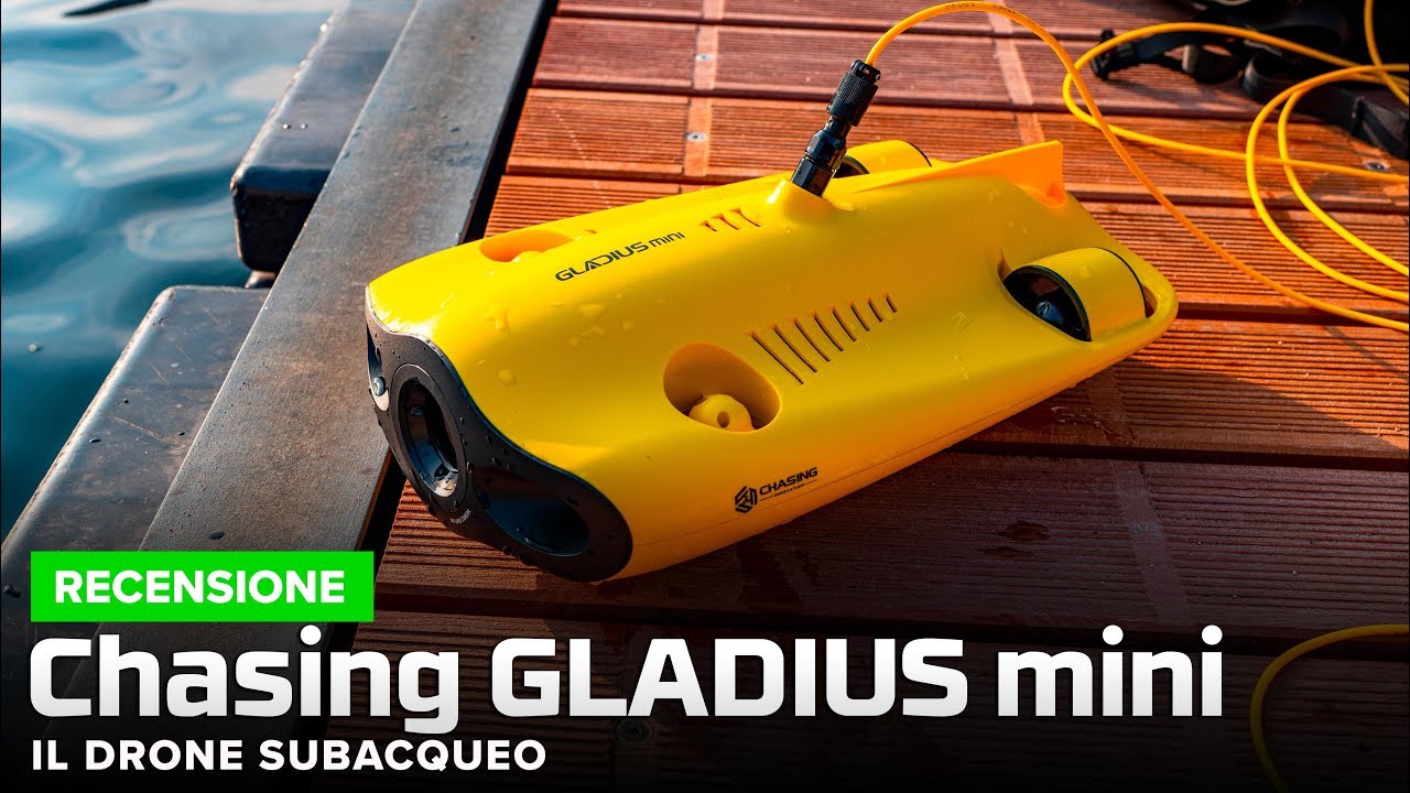 Chasing Gladius: LA LIBERTÀ DI 