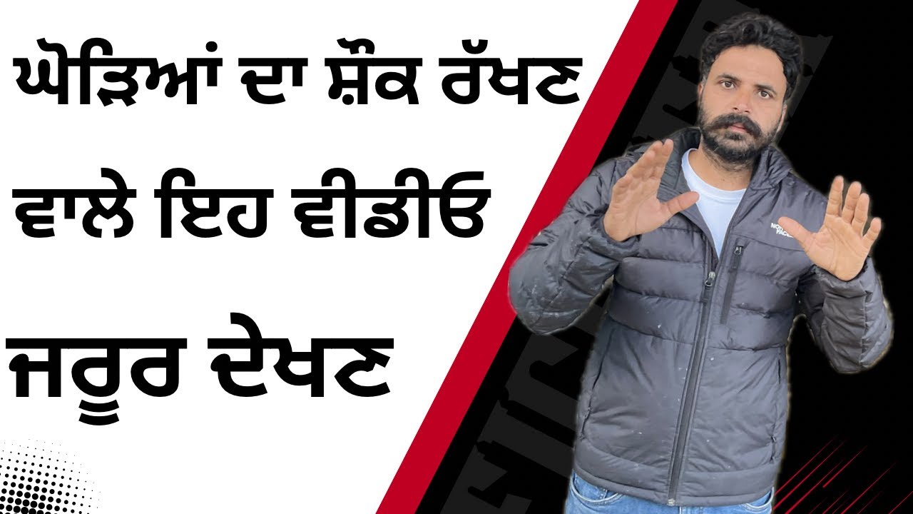 ਘੋੜਿਆਂ ਦਾ ਸ਼ੌਕ ਰੱਖਣ ਵਾਲੇ ਵੀਰ ਇਹ ਵੀਡੀਓ ਜਰੂਰ ਦੇਖਣ 