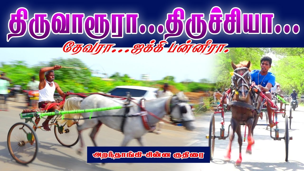 சின்ன குதிரை   -அறந்தாங்கி - செக்போஸ்ட் -புதுக்கோட்டை மாவட்டம் -11-06-2022  - 8 வண்டிகள்