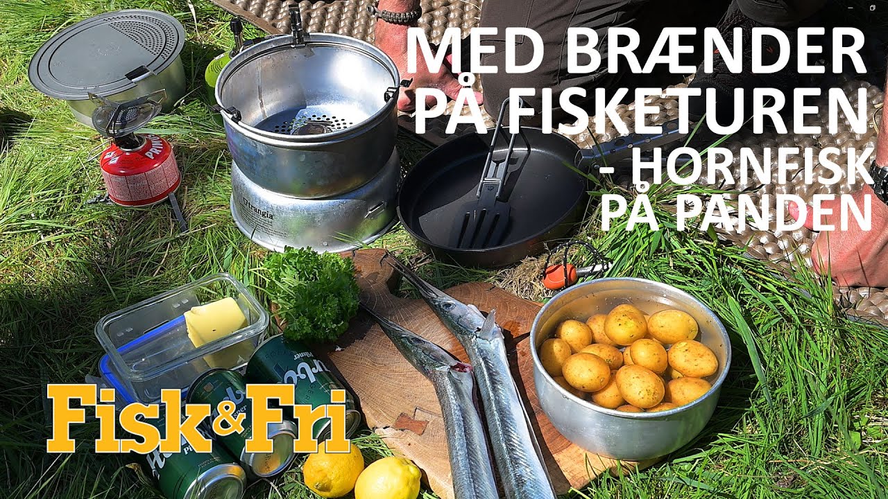 MED BRÆNDER PÅ FISKETUREN - HORNFISK PÅ PANDEN