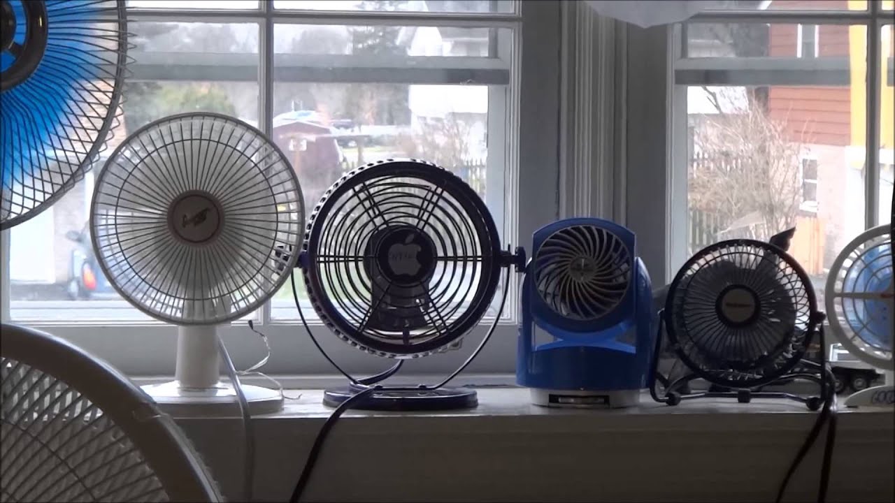 Some of my portable fans running before Thanksgiving day Oscillating fan