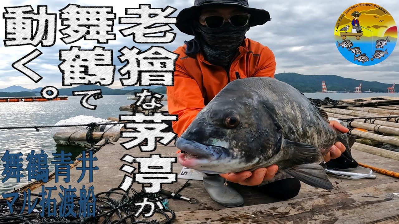 No.041 京都舞鶴で大チヌに挑戦！台風明けの青井の筏で奇跡が起こる！？