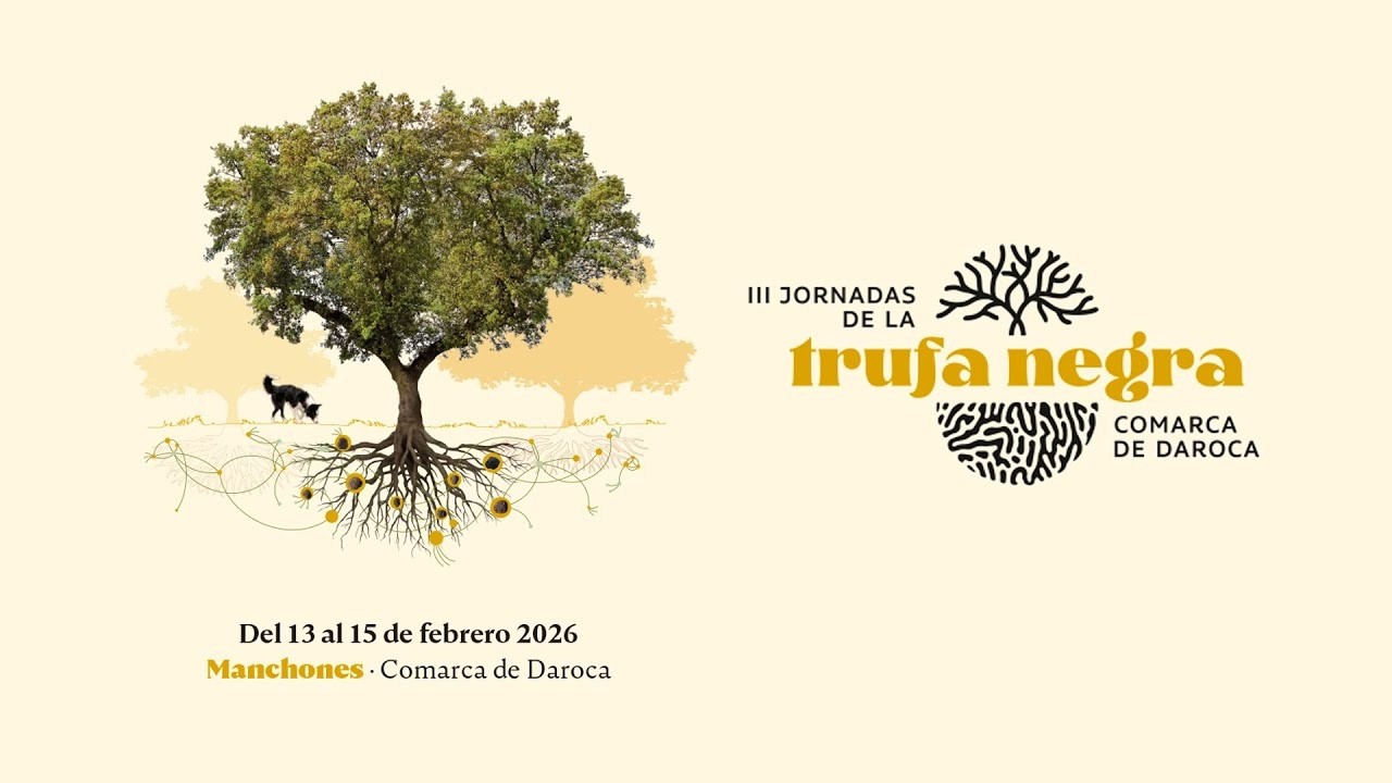 VII CONCURSO NACIONAL DE CAZA DE TRUFA DE LA COMARCA CAMPO DE DAROCA (fase final 15/02/2026)