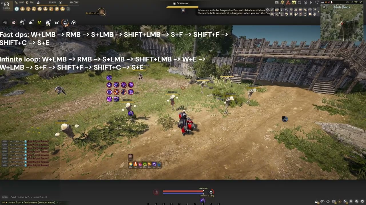 BDO Agent PVE combo