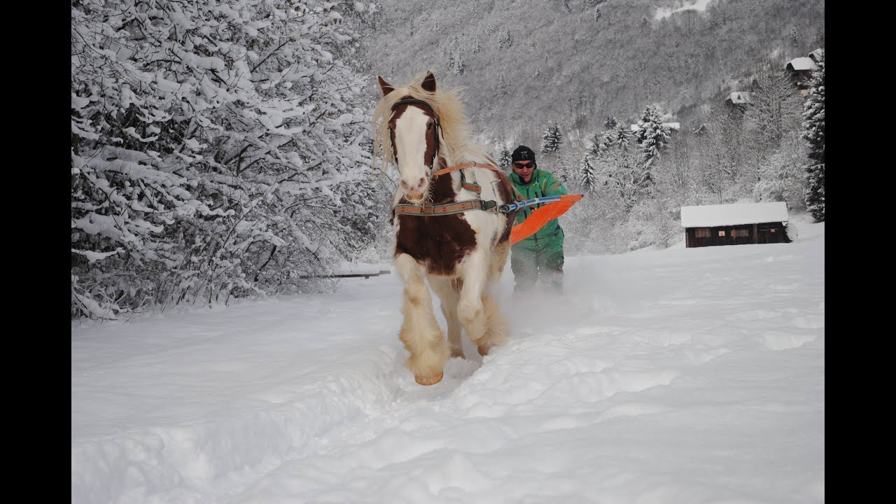 Privil&egrave;ge du ski joering &agrave; Avoriaz1800