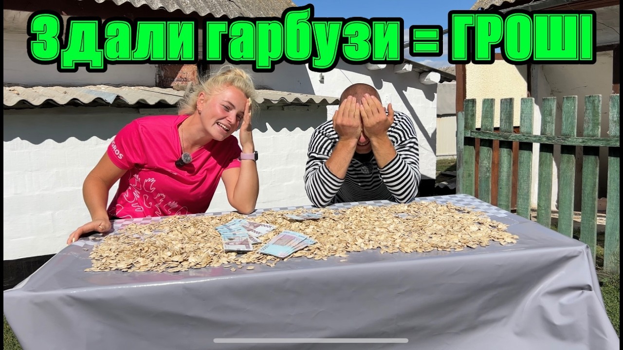50 соток гарбузів = гроші 💸 Сільський бізнес від А до Я