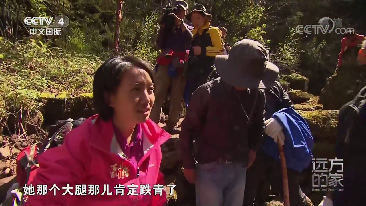 [远方的家]行走青山绿水间 探访黄土高原水塔| CCTV中文国际