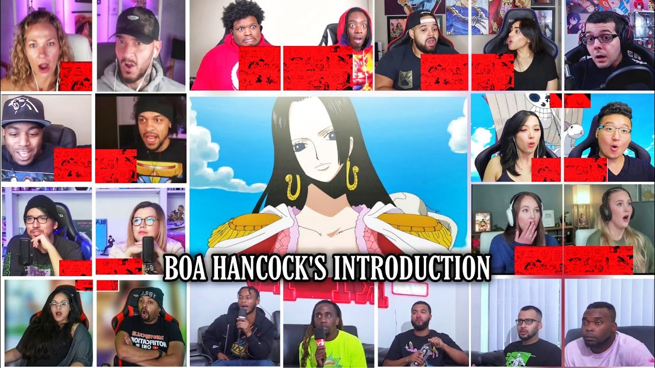 Boa Hancock's Introduction Reaction Mashup  | One Piece Episode 410