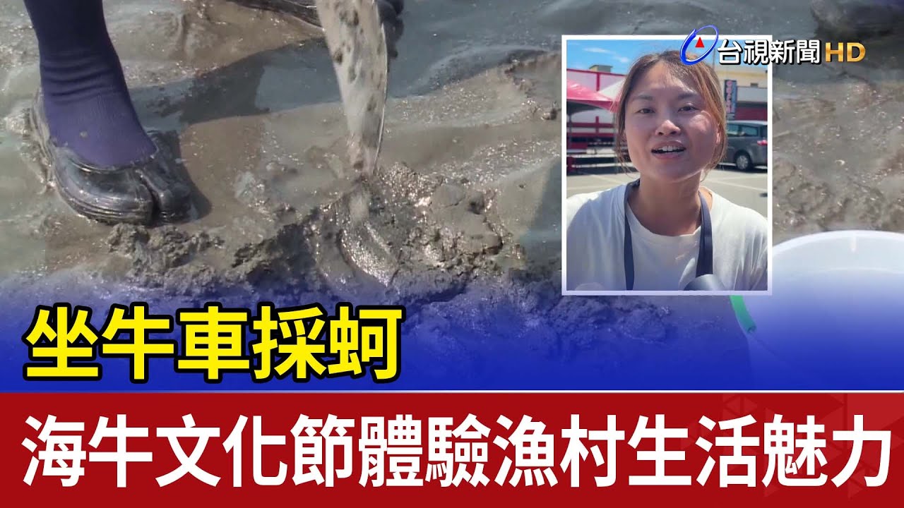 坐牛車採蚵 海牛文化節體驗漁村生活魅力