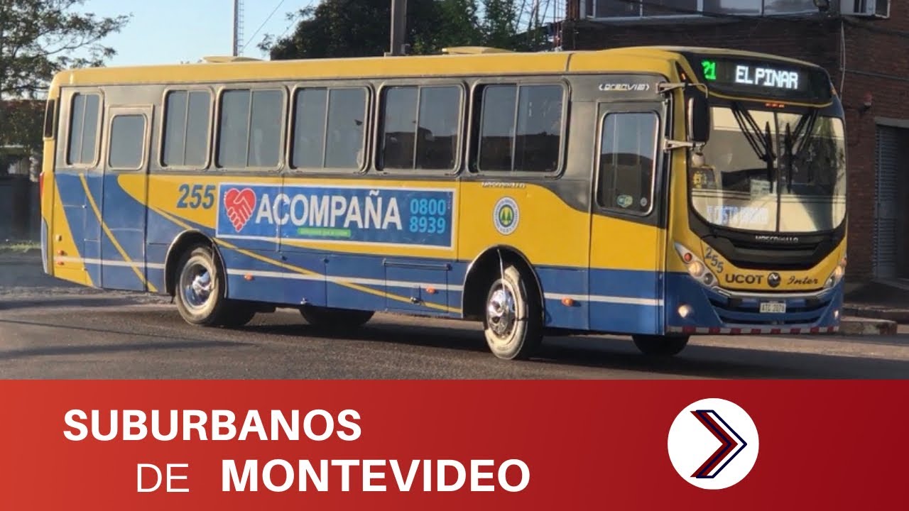 Suburbanos de Montevideo #1 - Ómnibus de Uruguay | Transporte Uruguayo